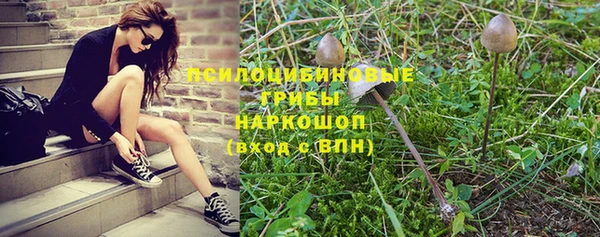 мдпв Нефтегорск