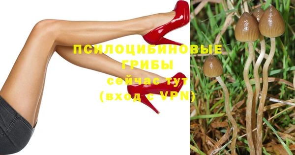 мдпв Анива
