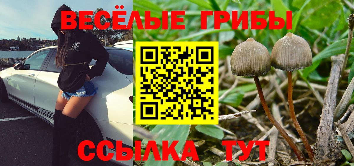 Галлюциногенные грибы GOLDEN TEACHER  Галлюциногенные грибы GOLDEN TEACHER  цена наркотик  Смоленск  Вход с VPN 